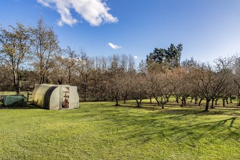 Photo of property in 87 Marshmans Road, Ashley, Rangiora, 7477