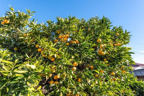 Photo of property in 58 Bordesley Street, Phillipstown, Christchurch, 8011