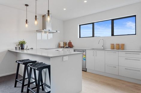 Photo of property in 99 Faulks Drive, Lincoln, 7608