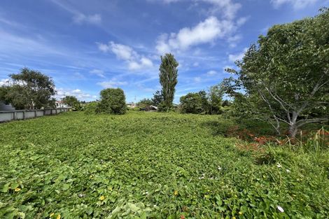 Photo of property in 53 Cracroft Street, Waitara, 4320