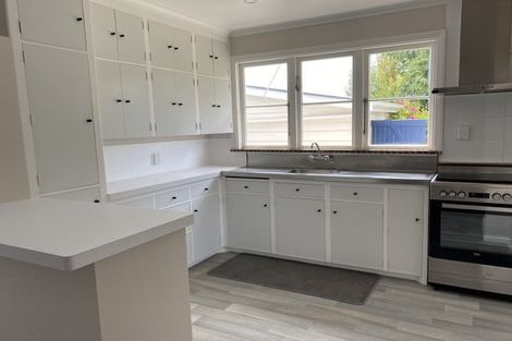 Photo of property in 54 Guy Avenue, Takaro, Palmerston North, 4410