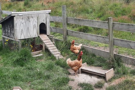 Photo of property in 902 Lawrence Waitahuna Highway, Waitahuna, Lawrence, 9593