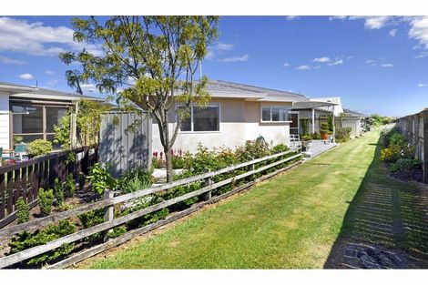 Photo of property in 14 Conifer Court, Richmond, 7020