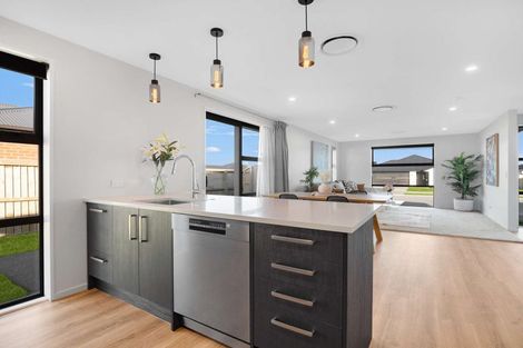 Photo of property in 101 Ed Hillary Drive, Rolleston, 7615