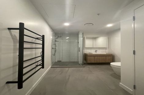 Photo of property in Pinnacle Apartments, W303/160 Victoria Street, Te Aro, Wellington, 6011