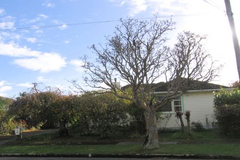 Photo of property in 12 Stamford Grove, Avalon, Lower Hutt, 5011
