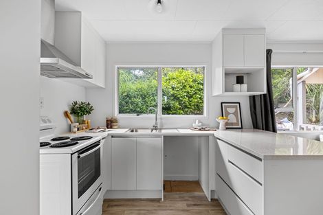 Photo of property in 1/23 Santiago Crescent, Unsworth Heights, Auckland, 0632