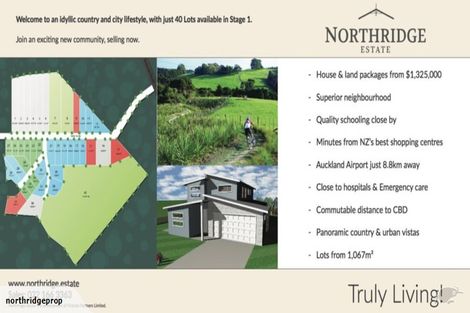 Photo of property in 17 Annmarie Avenue, Totara Park, Auckland, 2019