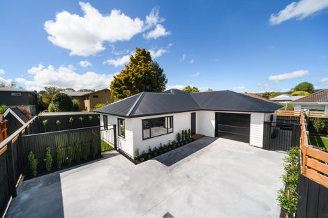 Photo of property in 469a Ruahine Street, Terrace End, Palmerston North, 4410