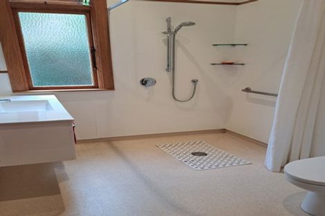 Photo of property in 103 Blacks Road, Opoho, Dunedin, 9010