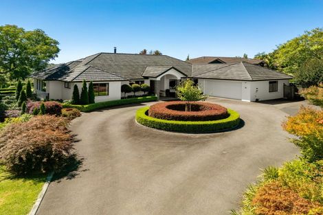 Photo of property in 10 Phillips Drive, Oropi, Tauranga, 3173