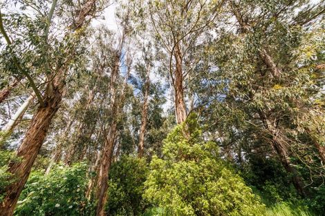 Photo of property in 721 Stoney Creek Road, Bunnythorpe, Palmerston North, 4470