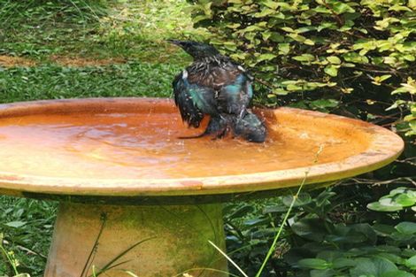 Photo of property in 64 Paparoa Station Road, Paparoa, 0571