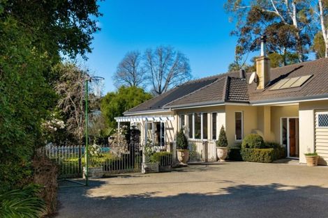 Photo of property in 65 Mchardy Street, Havelock North, 4130