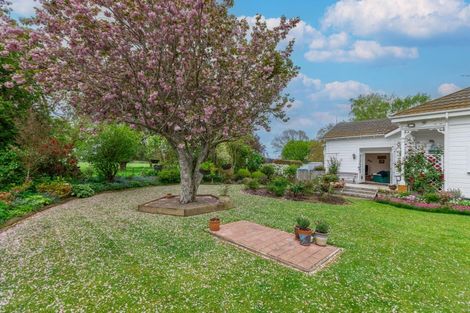 Photo of property in 238 Nelson Road, Ashley Clinton, Takapau, 4288