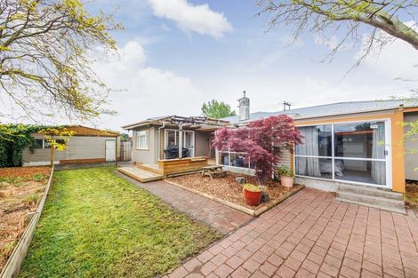 Photo of property in 669 Tennent Drive, Linton, Palmerston North, 4472