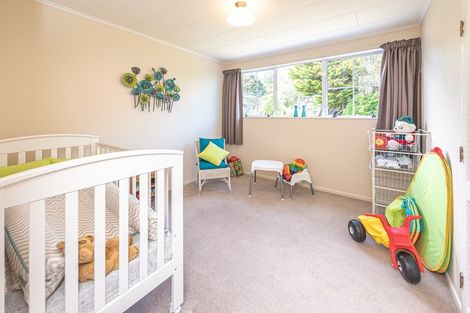 Photo of property in 44 Treadwell Street, Springvale, Whanganui, 4501