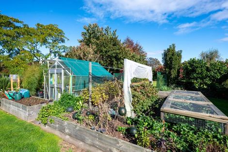 Photo of property in 135 Brunswick Drive, Tikitere, Rotorua, 3074