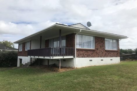 Photo of property in 13 Palm Court Drive, Glen Eden, Auckland, 0602