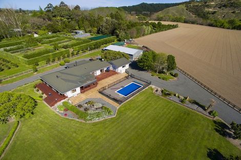 Photo of property in 191 Papatu Road, Manutuke, Gisborne, 4072