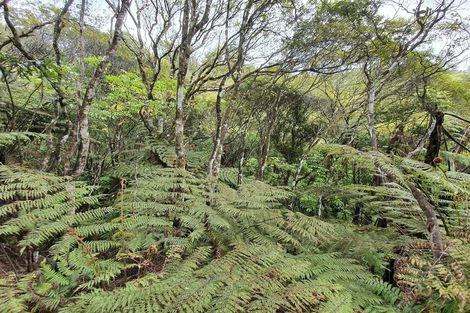 Photo of property in 574 Honeymoon Valley Road, Peria, Kaitaia, 0482