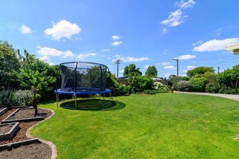 Photo of property in 24 Kokiri Street, Ngongotaha, Rotorua, 3010