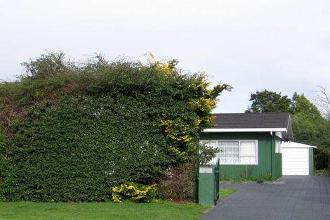 Photo of property in 135 Upper Plain Road, Masterton, 5810