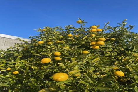 Photo of property in 60 Blankney Street, Hornby, Christchurch, 8042