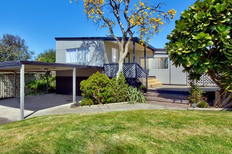 Photo of property in 170a Hepburn Road, Glendene, Auckland, 0602