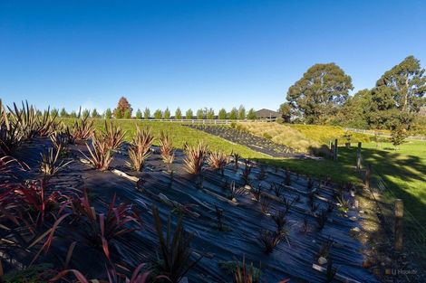 Photo of property in 65 Mill Road, Waimate, 7924