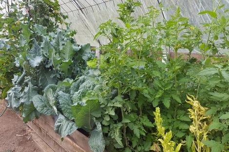 Photo of property in 108 Pebblebrooke Road, Mangawhai, Kaiwaka, 0573