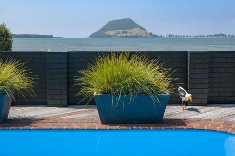 Photo of property in 71 Kulim Avenue, Otumoetai, Tauranga, 3110