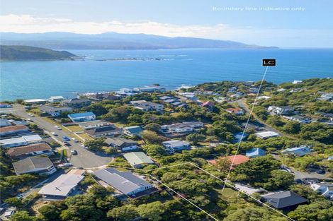 Photo of property in 13 Twomey Grove, Houghton Bay, Wellington, 6023