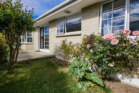 Photo of property in 28a Belgrave Crescent, Kaikorai, Dunedin, 9010