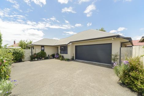 Photo of property in 53a Limbrick Street, Terrace End, Palmerston North, 4410