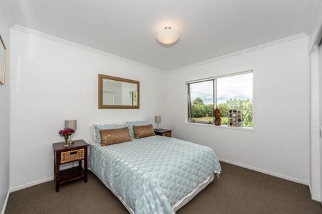 Photo of property in 217 Boyd Road, Horsham Downs, Hamilton, 3281