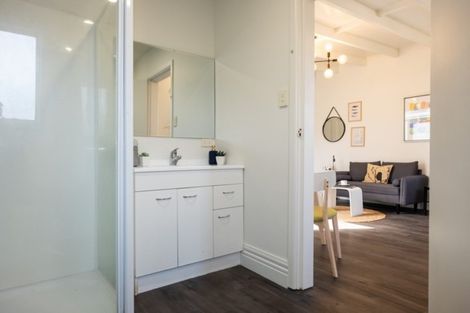 Photo of property in 17 Helena Street, Forbury, Dunedin, 9012