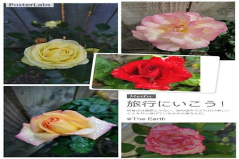 Photo of property in 14 Maryann Place, Greenhithe, Auckland, 0632