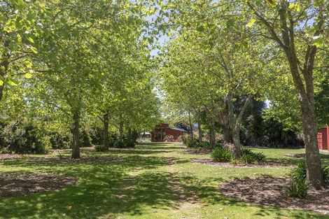 Photo of property in 20 Riverpark Drive, Kuratau, Turangi, 3381
