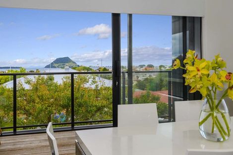 Photo of property in 23b Milton Road, Otumoetai, Tauranga, 3110