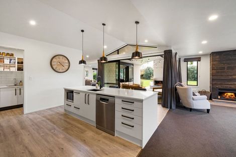 Photo of property in 102 Webster Road, Matangi, Hamilton, 3284