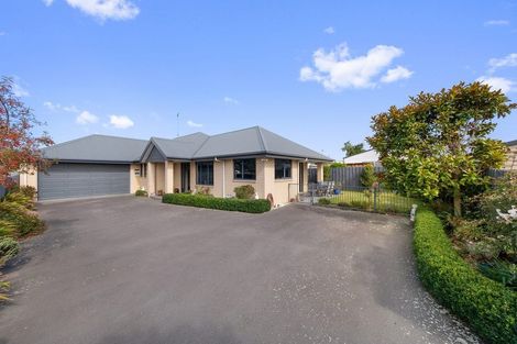 Photo of property in 20a Princes Street, Netherby, Ashburton, 7700