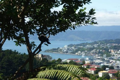 Photo of property in 23 Koromiko Road, Aro Valley, Wellington, 6012