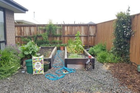 Photo of property in 14 Mclenaghan Road, Rolleston, 7614