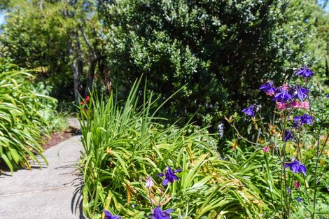 Photo of property in 256 The Ridgeway, Stoke, Nelson, 7011