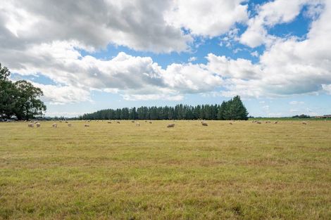 Photo of property in 25 Shere Street, Pleasant Point, 7903