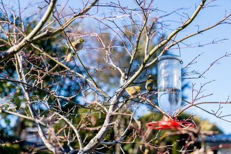 Photo of property in 9a Windsor Place, Mosgiel, 9024