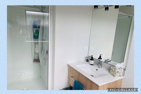 Photo of property in 24 Lulu Avenue, Chartwell, Hamilton, 3210