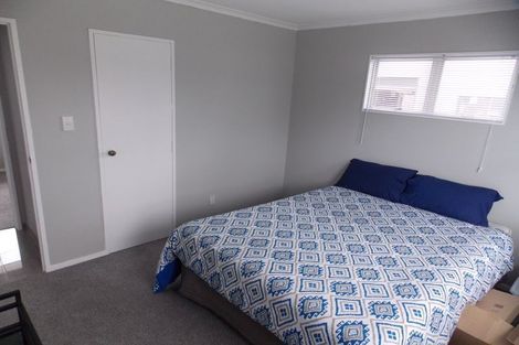 Photo of property in 60 Clarke Avenue, Highbury, Palmerston North, 4412