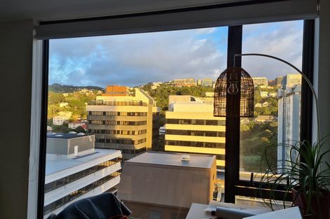 Photo of property in Pinnacle On Victoria, 1301/160 Victoria Street, Te Aro, Wellington, 6011